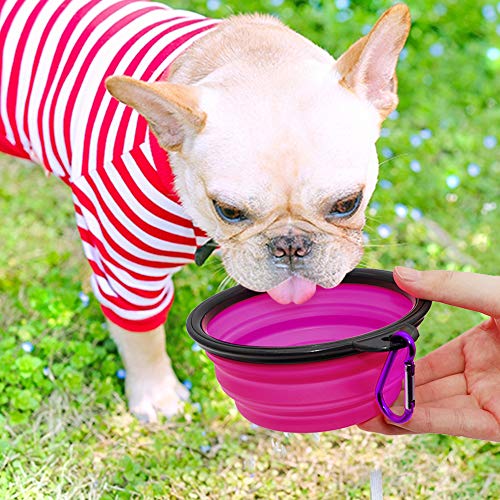 Image of Collapsible Dog Bowl, 2 Pack Collapsible Dog Water Bowls for Cats Dogs, Portable Pet Feeding Watering Dish for Walking Parking Traveling with 2 Carabiners (Small, Green+Purple)