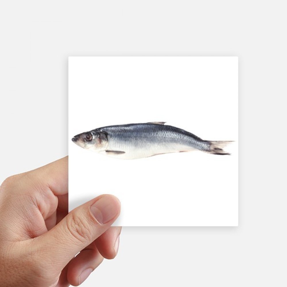 Autocollant carré poisson océan 10 cm adhésif mural et sticker moto multicolore
