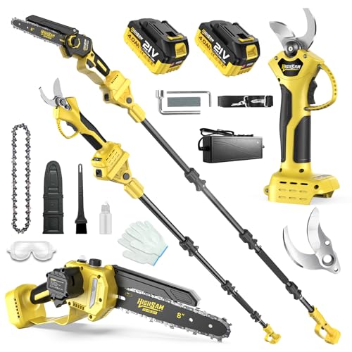 Sierra de Cadena Mini 8 Pulgadas & Podadora Inalámbrica, Herramienta Jardín 4 en 1 Motor Sin Escobillas, Vástago Telescópico 4,2m, 2×4,0Ah Baterías, Sierra Cadena, Corte Madera & Poda Ramas (Batería)