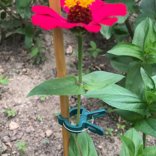 Sago Brothers Plant and Flower Clips 80 PCS Garden Clips for Supporting Stems