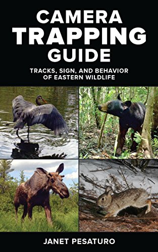 amazon wildlife camera trap