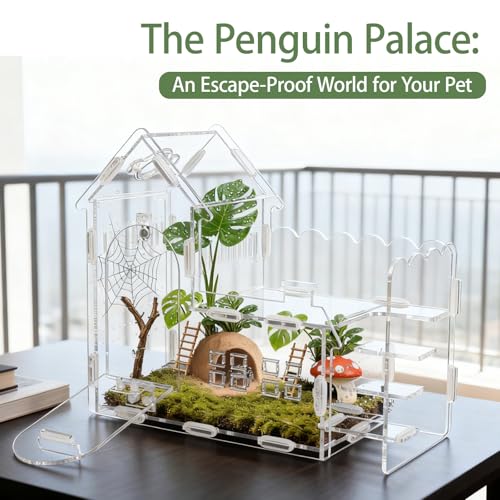 Image of Magnetic Acrylic Terrarium for Jumping Spiders & Small Pets - Easy-Access Front Opening, Feeding Hole, Ideal for Reptiles, Tarantulas, Hermit Crabs & More