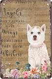 Panneau en aluminium vintage avec inscription « Angels Don't Always Have Wings Sometimes They Have Whiskers » - Motif chien écaille de tortue - Pour maison, bar, bureau, boutique, décoration murale -