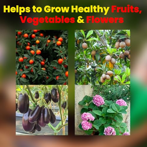 Image of Garden Genie Ferrous Sulphate Fertilizer For Plants Home Garden, 200Gm | Iron-Rich Micronutrient Supplement | Enhances Greener Leaves & Healthy Plant Growth | For Indoor & Outdoor Use,Powder