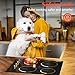 Cooksir 24 Inch Electric Cooktop - 4 Burner Built-in(22.05