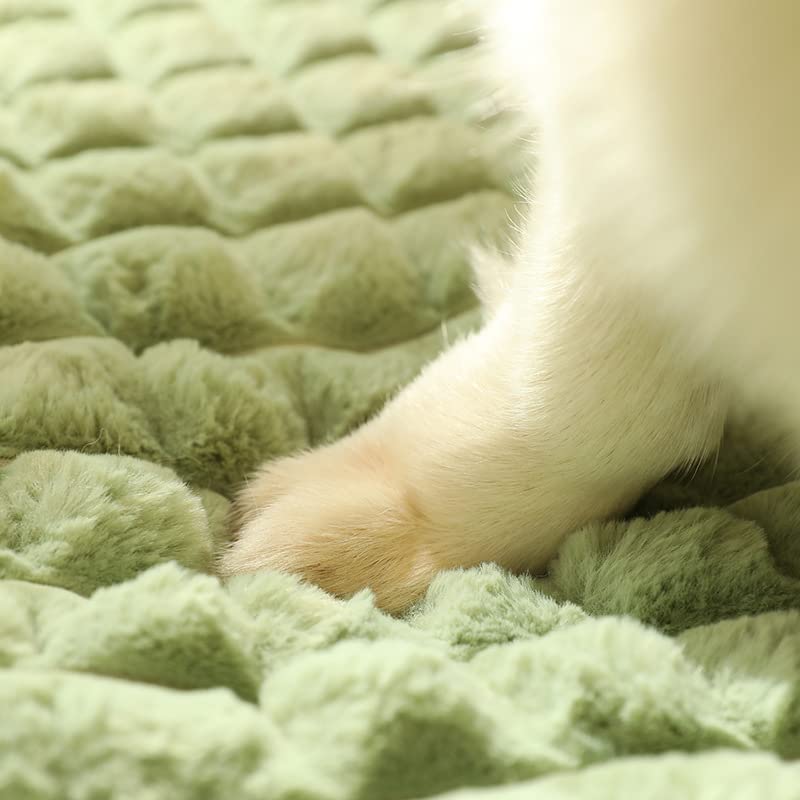 Tapis chien rectangle doudou orthopédique et antidérapant - 7