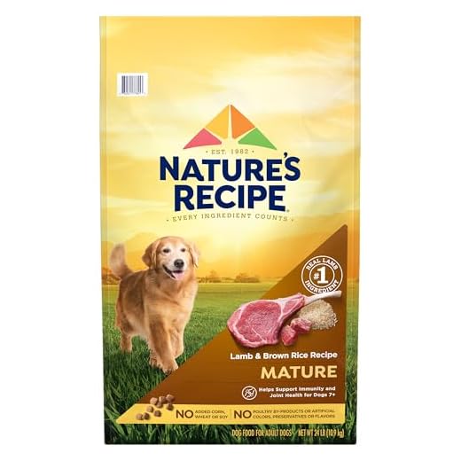 Nature’s Recipe Mature Lamb & Brown Rice Recipe Dry Dog Food, 24 lb. Bag