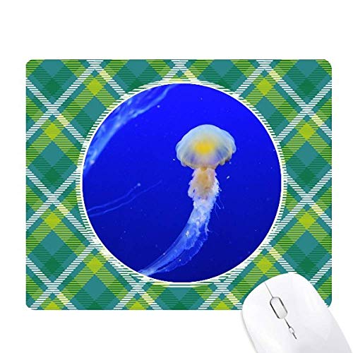 CmNQȊw͎R̎ʐ^ ΂̊iq̃sNZS̃}EXpbh