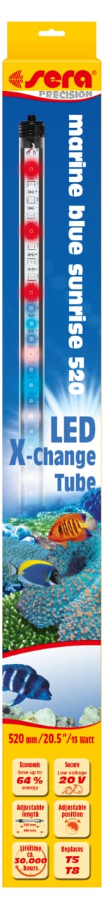 Sera - luce a LED, blu marino, sunrise, stile barriera corallina, 360 blu