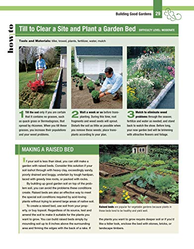 The Beginner's Guide to Gardening