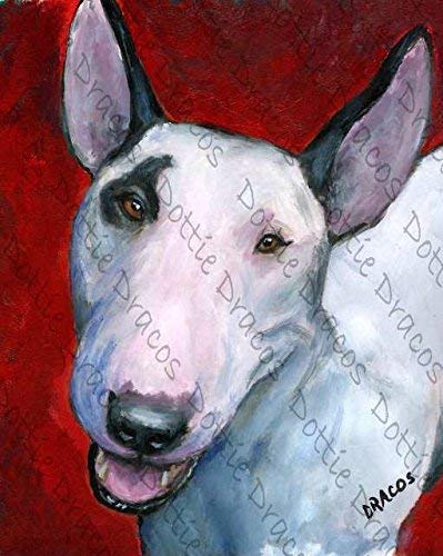 petco kidney cat food