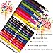 KALOUR Premium Colored Pencils Bulk,12 Assorted Vibrant Colors,240 Count Total,School Classroom Supplies For Kids Teachers,Pre-sharpened Artists Colored Pencils for Adult Coloring Book