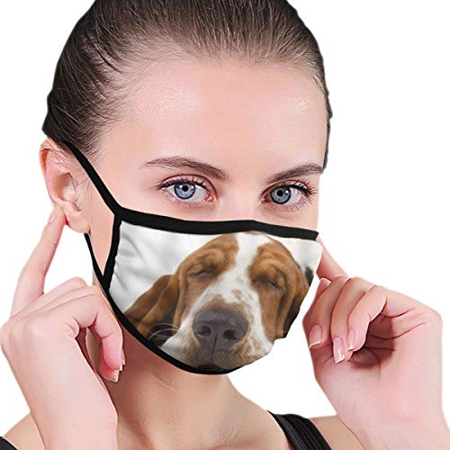 KISSENSU Sleeping Basset Hound Cute Animal Dog Fabric Half Face Mask Mouth Masks