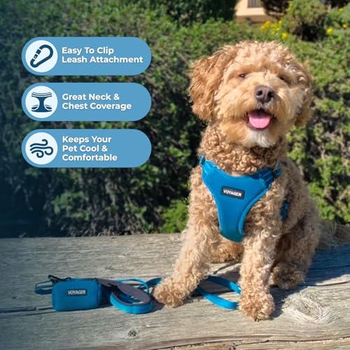 Image of Best Pet Supplies Voyager Adjustable Step-in Flex Breathable Mesh Dog Harness for Small Medium Large Dogs Leash Set (Turquoise), XL