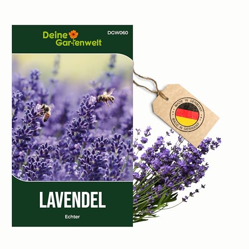 Lavendel Echter Samen - Lavandula angustifolia - Lavendelsamen - Kräutersamen - Saatgut für 50 Pflanzen
