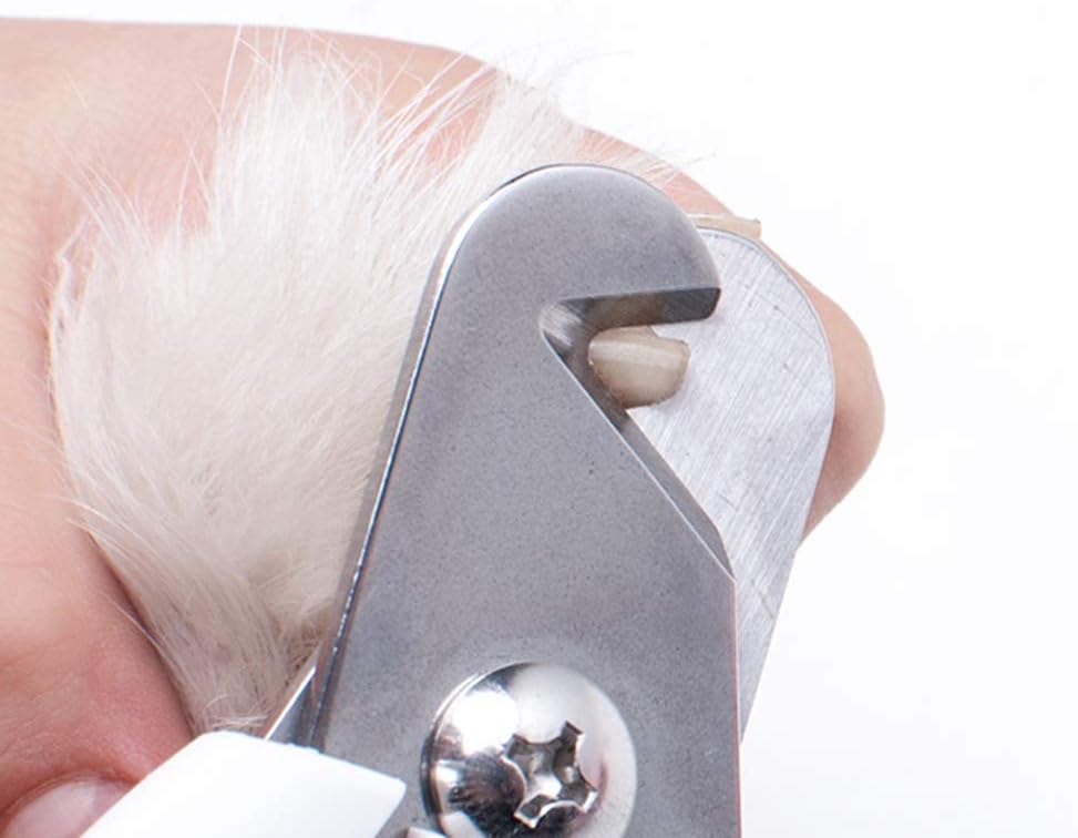 Amazon.co.jp ペットの爪切り 犬ネイルクリッパーネイルクリッパーペットのビッグドッグネイルクリッパーゴールデンレトリバー