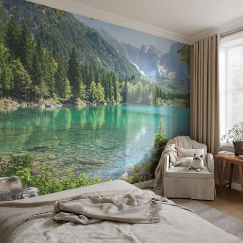 Décor mural intissé pour masquer les imperfections murales avec colle - 3