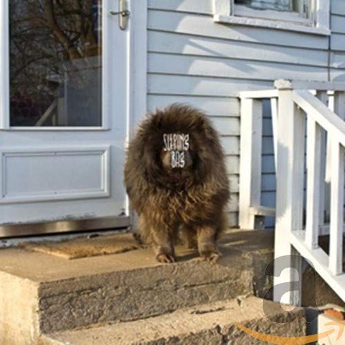 Bolsa de Dormir, Coleman Trinidad WarmWeather Sleeping Bag Mejores