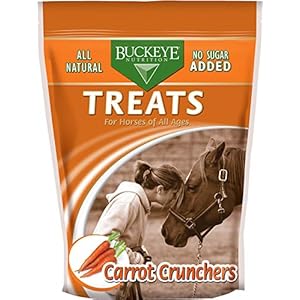 Buckeye All-Natural Sugar-Free Carrot Crunchers Horse Treats, 4 Pound Bag