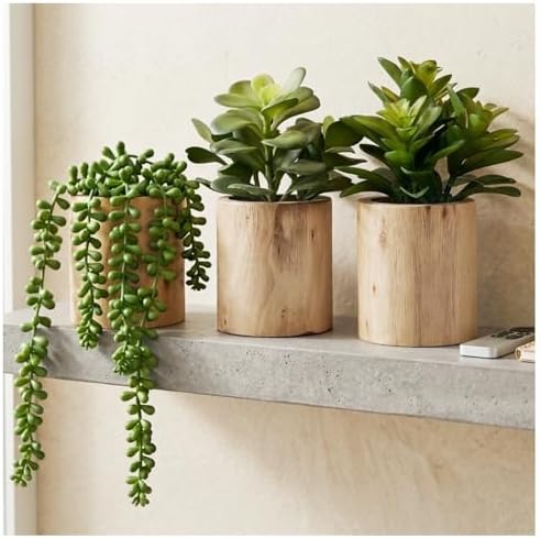 Artificial Succulents with Pots - Set of 3 Small Fake Plants for ...