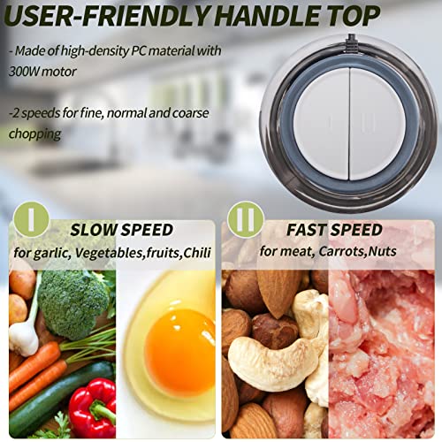 Electric Food Processor & Vegetable Chopper, 8-Cup Blender Grinder For Meat, Vegetables, Onion, Garlic, With 2L Stainless Steel Bowl And 4 Sharp Blades For Slicing, Shredding, Mincing, And Puree, 300W #TOP3