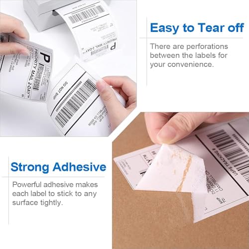 View 5