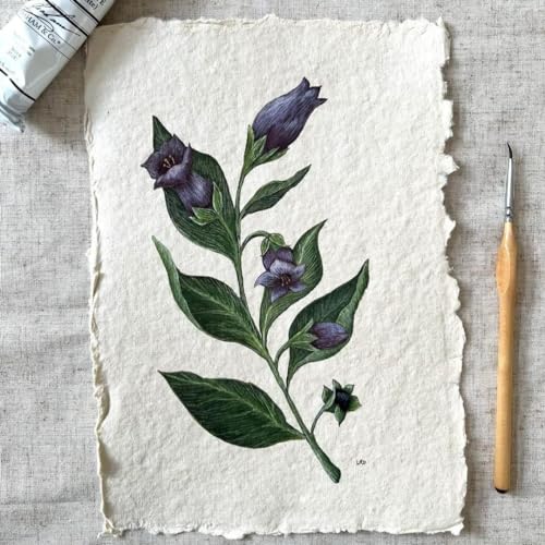 400 GSM / 25 Sheets - Rough/Textured Watercolor Drawing/Sketching Paper - 7"X5" - Handmade/Deckle Edge Paper Made from Virgin Egyptian Cotton - Off-White by Leather Village - Thumbnail 5