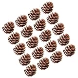 100個 クリスマス 松ぼっくり 天然松ぼっくり 2-3cm 素朴な松ぼっくり クリスマス松ぼっくり リースの装飾 大量オーナメント クリスマス松ぼっくり 冬の装飾 2-3cm