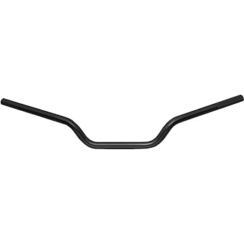 renthal flat track bars