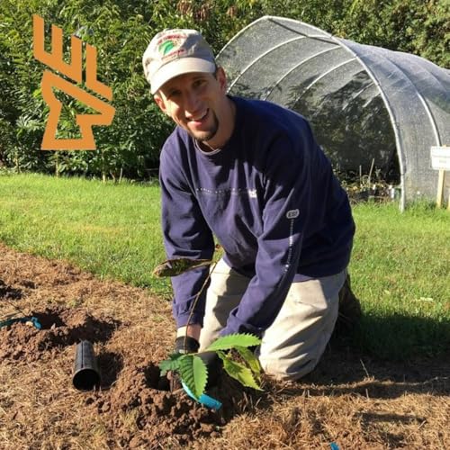 EP224 The American Chestnut Comeback: Restoration, Deer Habitat, and the GMO Question