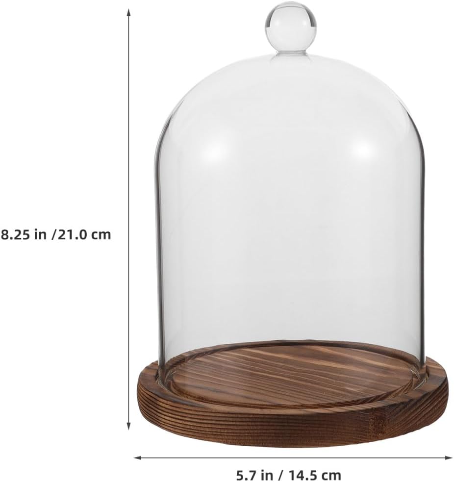 Garneck Candle Cloche Glass Dome Display Case With Wooden Base 1PC, 8 inch
