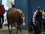  Backstage Pass with Monty Roberts