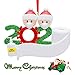 Produktbild lifecolor 2020 Weihnachtsschmuck, personalisierter Name Weihnachtsschmuck, Family Customized Weihnachtsdekoration Set DIY Kreatives Geschenk für Familie (01)