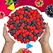 Berries Gummy Candy | 2 Pound Bag | Red and Black Soft Candy Bulk | Raspberry and Blackberry Crunchy Gummies for Dessert Decoration, Gifting & Buffets