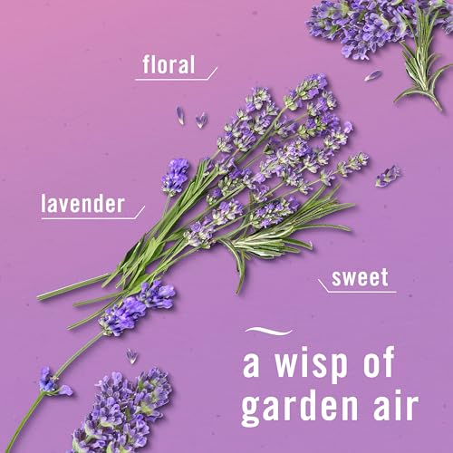 Image of Febreze Plug In Air Freshener, Odor-Fighting Scented Oil Refill, Air Fresheners for Home and Bathroom and Kitchen, Long Lasting for Strong Odors, Twilight Lavender Scent, 0.87oz Refills, 4 Count