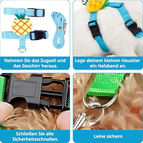 4 Stück Kaninchen Leine Hasenleine Geschirre & Halsbänder, Ananas Karotte Erdbeere Avocado Designs, Verstellbare Katzengeschirre für Erwachsene Haustiere, Robuste Hundeleine Alternative für Kaninchen