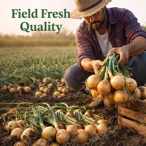 Fresh Yellow Onions 2 lb Bag, Farm Fresh Whole Onions, Premium Quality, Sweet & Mild Flavor, Perfect for Cooking, Salads & Everyday Kitchen Use - Image 4
