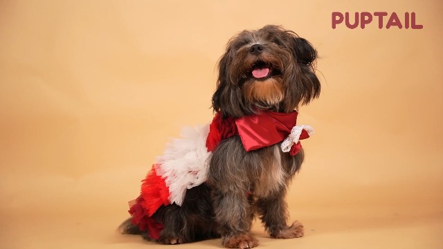 Puptail Dog Dress with Lovely Bow Puppy Dress Pet Apparel Dog