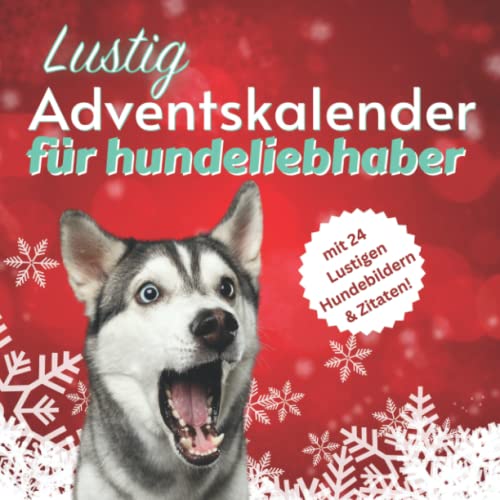 Lustig Adventskalender für Hundeliebhaber: Geschenke Ideen für...