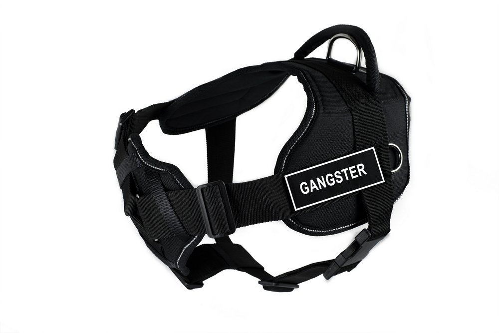 Harnais rembourré Dean & Tyler Gangster Fun XL pour grand chien