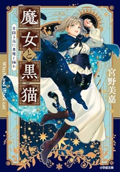 魔女と黒猫　星降る夜に悪魔と踊れ