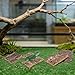 Garneck 4Pcs Cork Bark for Reptile Terrarium: Natural Wood Cork Hideouts for Bearded Dragon Tank Accessories Small Climbing Reptile Hide Barks for Tortoise Snake Lizard Enclosure