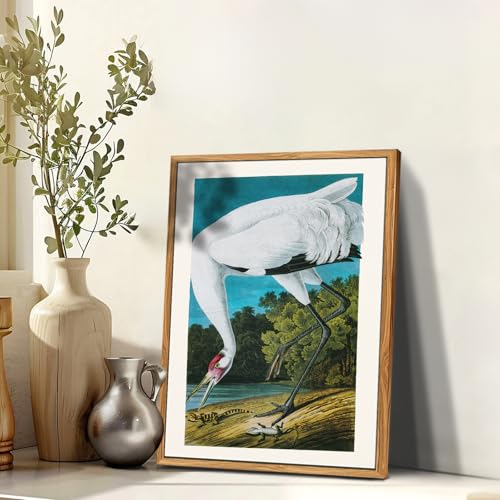 crmotu Bird Framed Wall Art, Whooping Crane Vintage Decor Paintings, Nature Animal Canvas Art Prints, Still Life Aesthetic Pictures Wall Decor Living Room Bedroom Bathroom Farmhouse Cottage, 12x16inch