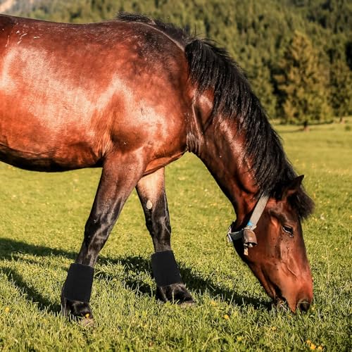 Botas antimoscas para caballos para evitar picaduras e irritación 6