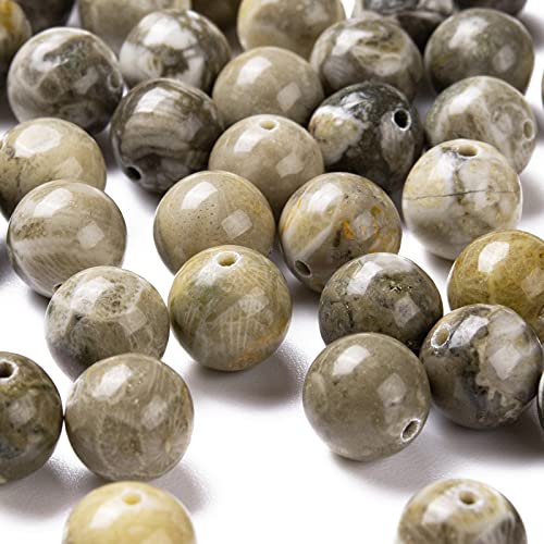 BEEFLYING 100 Pcs 8mm Fossil Coral Round Beads Natural Chrysanthemum Stone Beads Loose Gemstone Beads for Jewelry Bracelet Making - Image 4