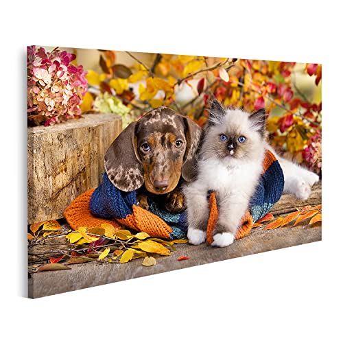 Tableau sur Toile Chat Chien islandburner pour Chambre d'Enfant