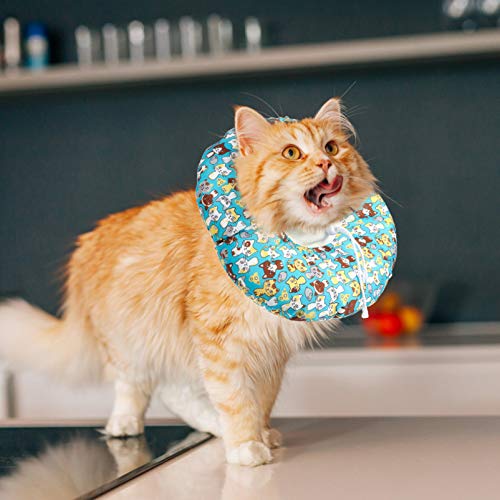 POPETPOP Pet Colar Isabelino Colarinho Recuperação Recuperação Coleira para Cães Gatos