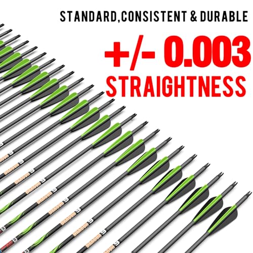 Image of sanlida 100% Pure Carbon Hunting Arrows, Olympic-Grade 10 Spines Deflection (Unique), 0.001 inch /0.003 inch /0.006 inch Straightness, Buy 12 Get 12 Free /Buy 6 Get 6 Free, for Compound & Recurve Bows (12 /24PCS)