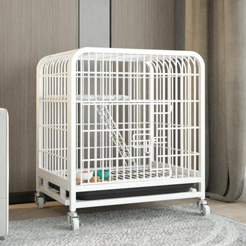 Aménagement multifonctionnel pour chats d'intérieur enclos extérieur