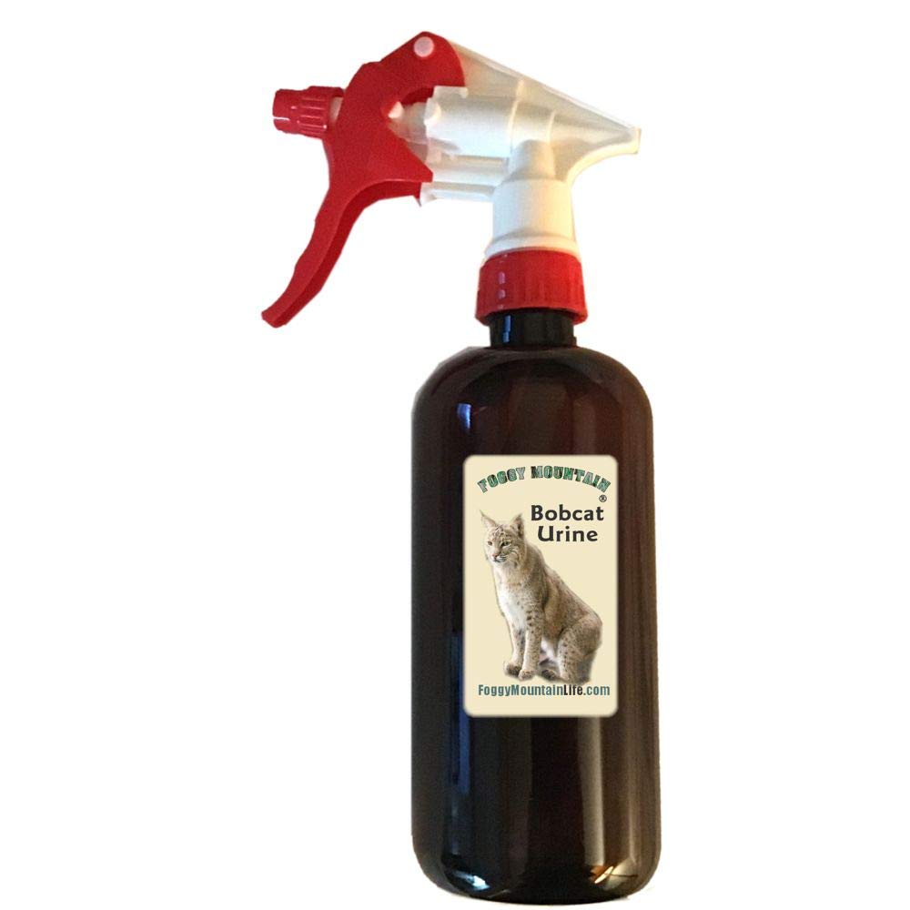 Bobcat Urine
